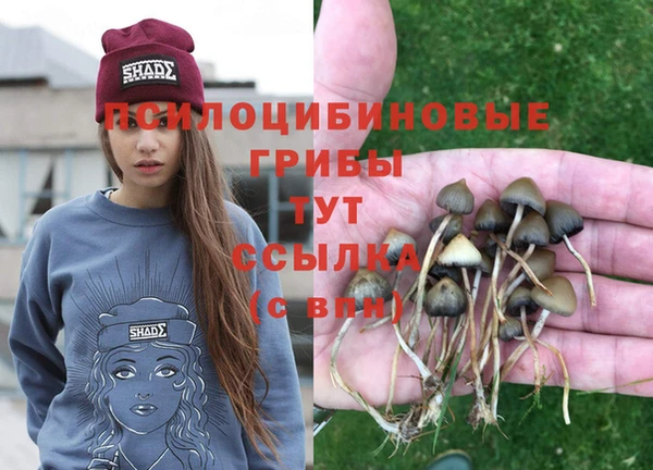 стафф Алексеевка