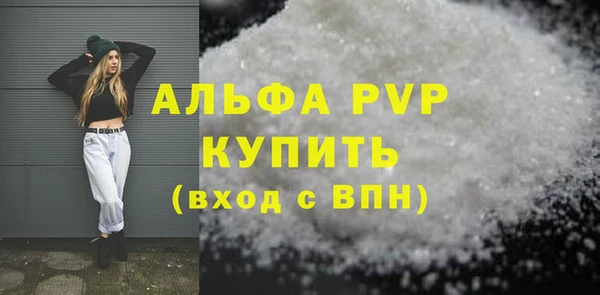 шишки Новозыбков