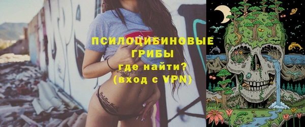 тгк Алзамай