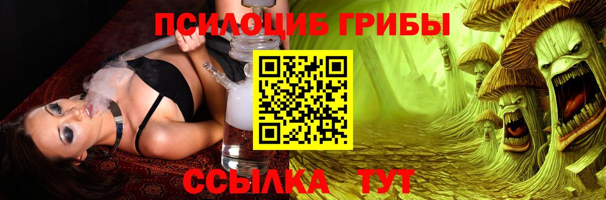 Красногорск  Псилоцибиновые грибы мицелий  дарнет шоп  Псилоцибиновые грибы GOLDEN TEACHER  Вход с VPN 