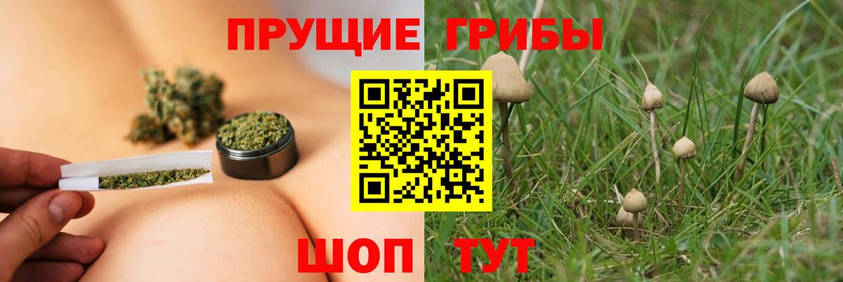 Галлюциногенные грибы MAGIC MUSHROOMS Красногорск